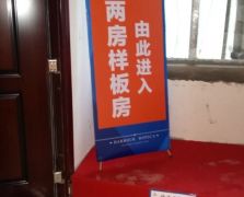 房地產(chǎn)活動(dòng)策劃